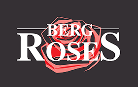 Berg Roses